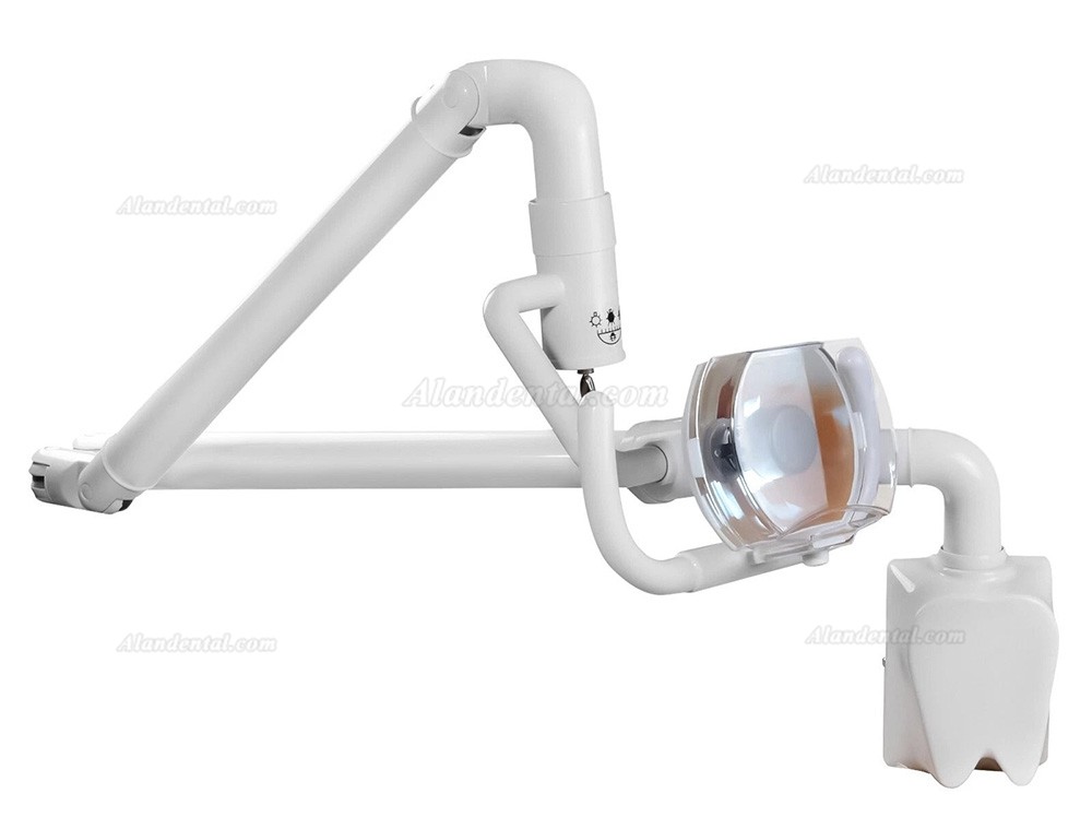 50W Dental Oral Lamp Wall Mounted Cold Light Shadowless Surgical Exam Lamp